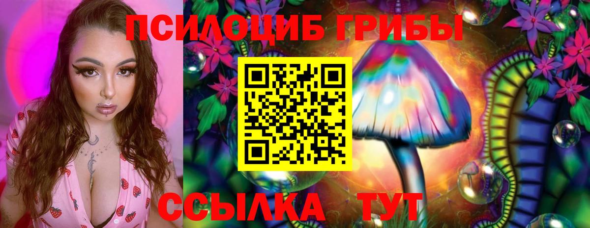 Галлюциногенные грибы прущие грибы  Вход с VPN  Самара 